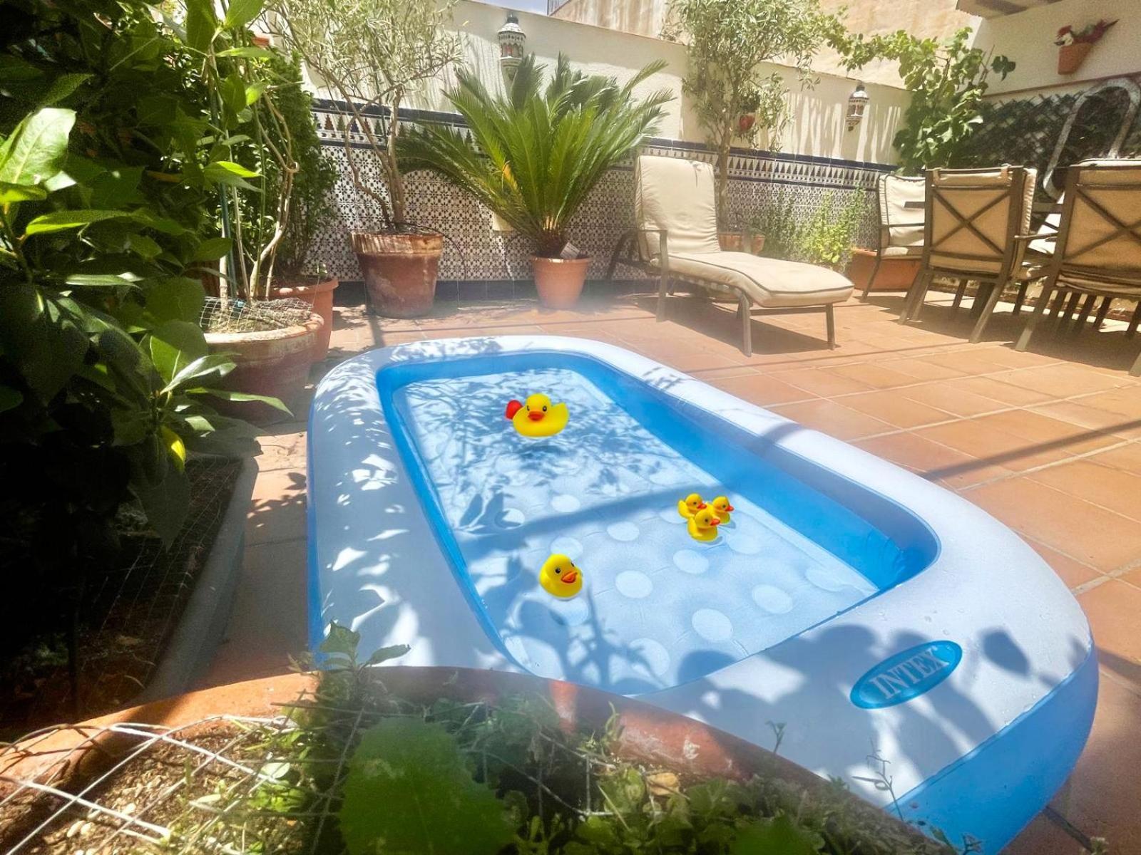 Maravilloso Apartamento Centrico De 70M2, Jardin Propio 40M2 Con Piscina Para Ninos Y Parking Opcional Màlaga Exteriér fotografie